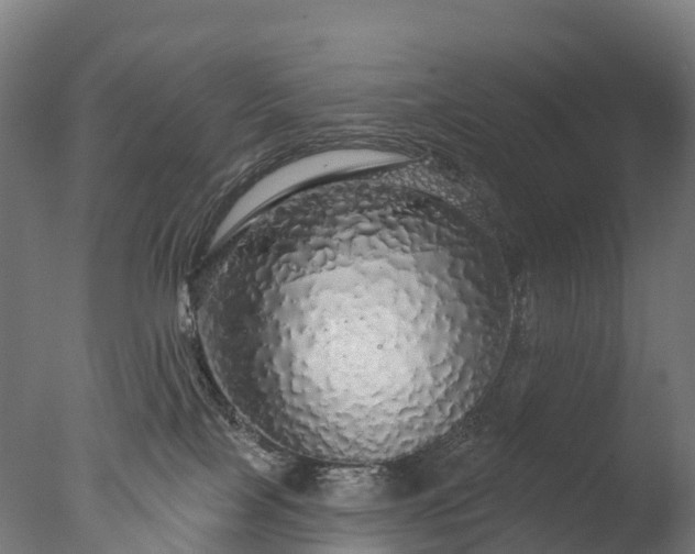 X0000076420089200610161138