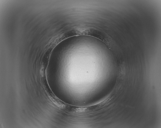 X0000076420090200610161138