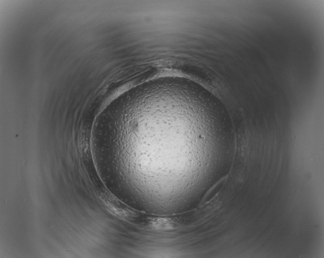 X0000076420091200610161138