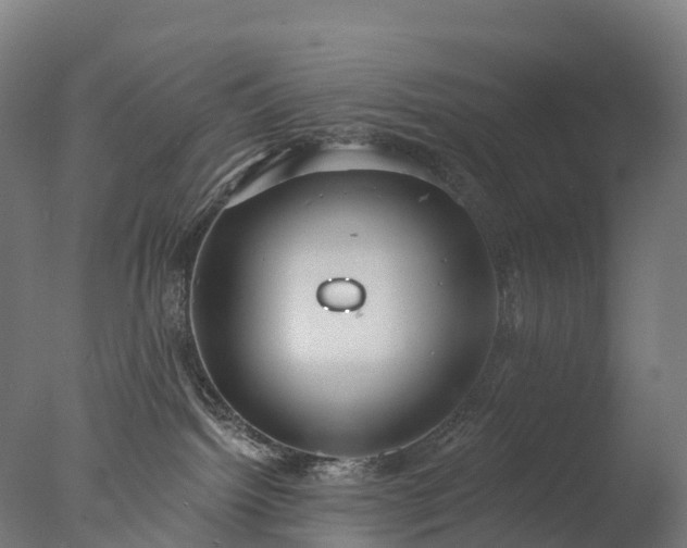 X0000076420092200610161138