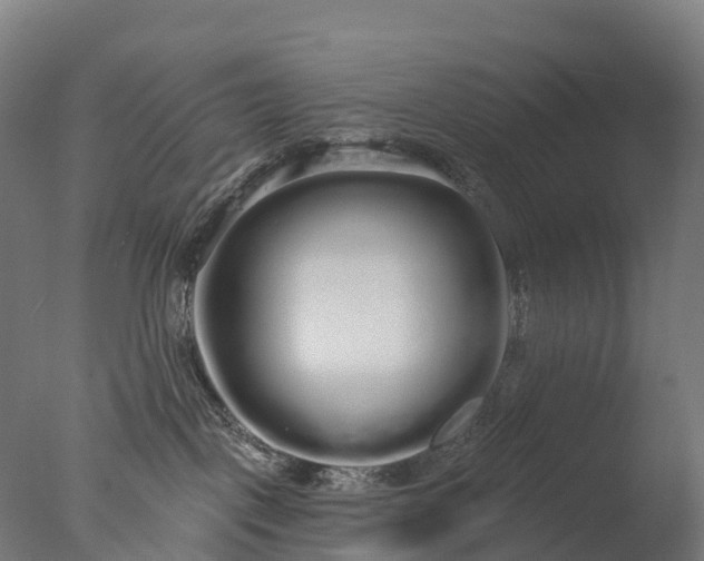 X0000076420093200610161138
