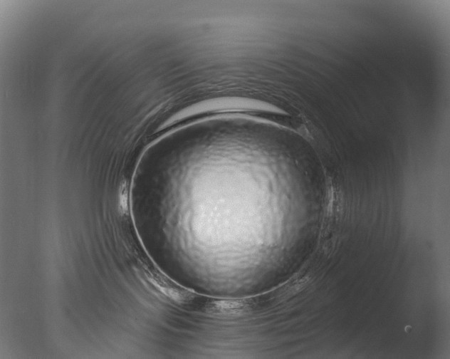 X0000076420095200610161138