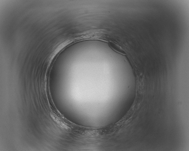 X0000076420100200610161137