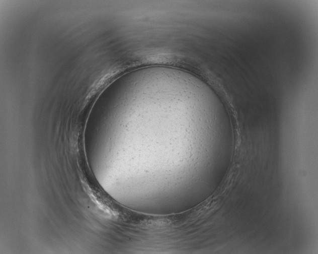 X0000076420106200610161137