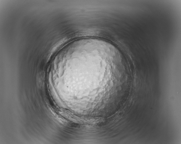 X0000076420107200610161137