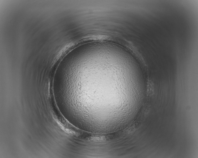 X0000076420110200610161137