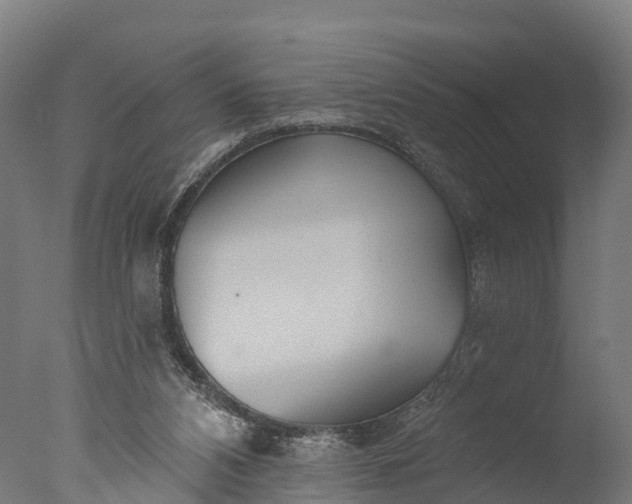 X0000076420112200610161137