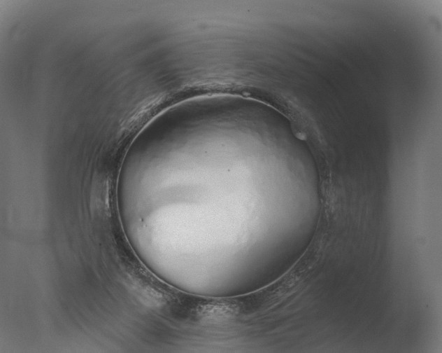 X0000076420115200610161137