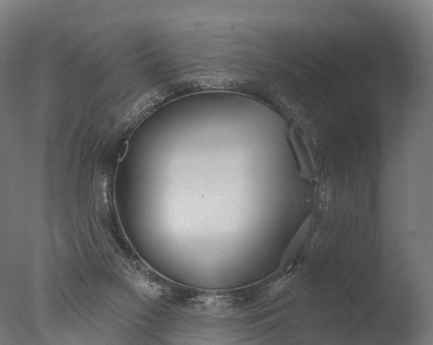 X0000076420117200610161137