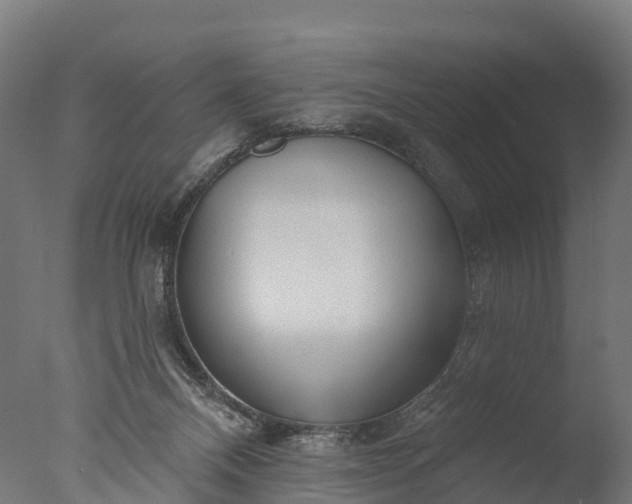 X0000076420120200610161137