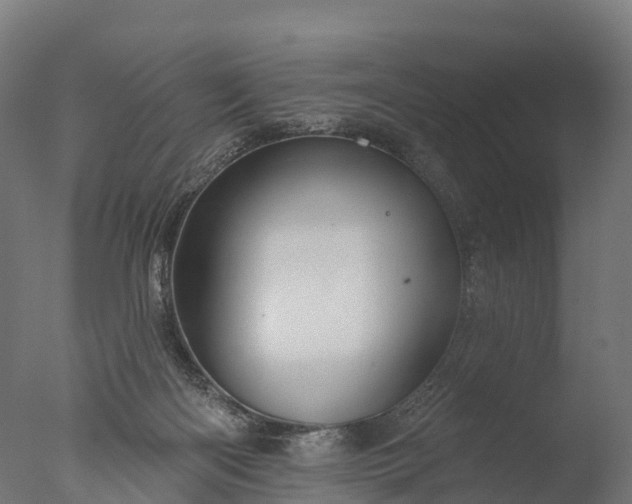 X0000076420122200610161137