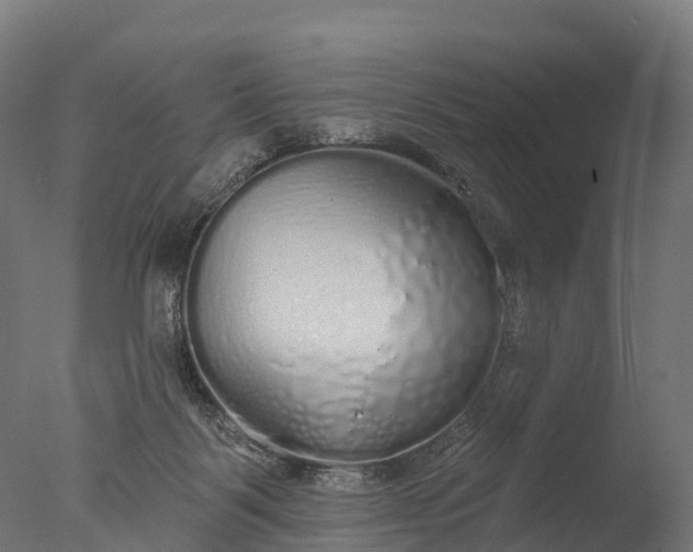 X0000076420123200610161137