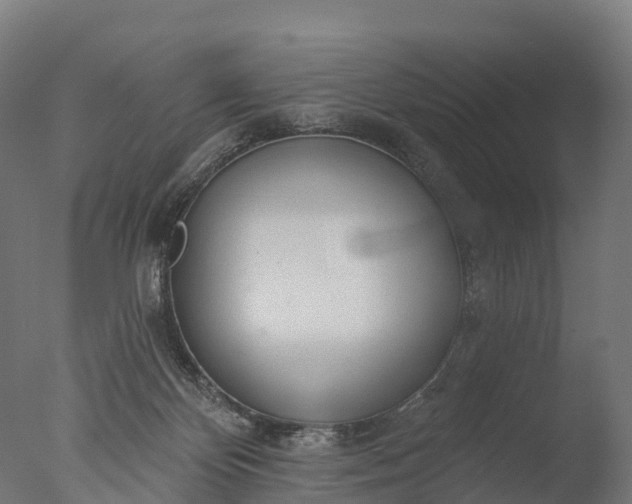 X0000076420124200610161136