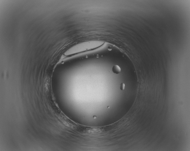X0000076420125200610161136