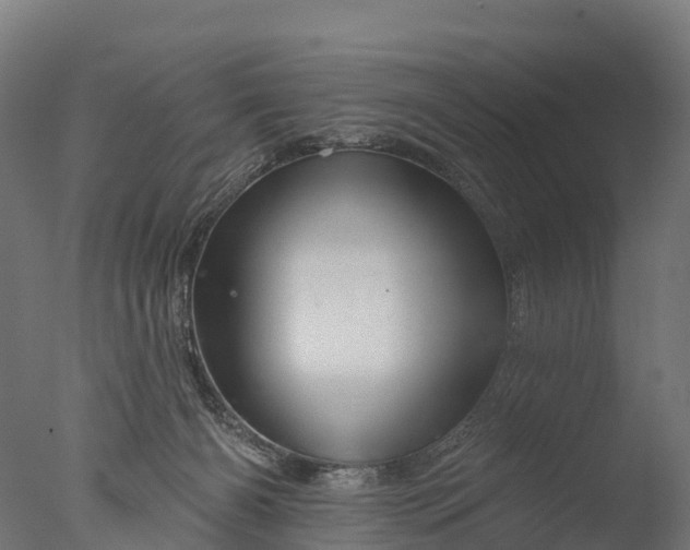 X0000076420126200610161136