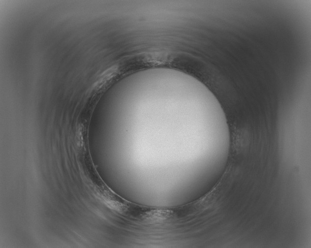 X0000076420128200610161136