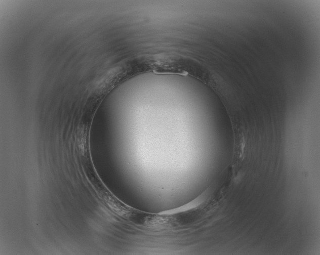 X0000076420129200610161136