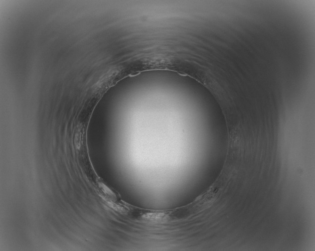 X0000076420133200610161136