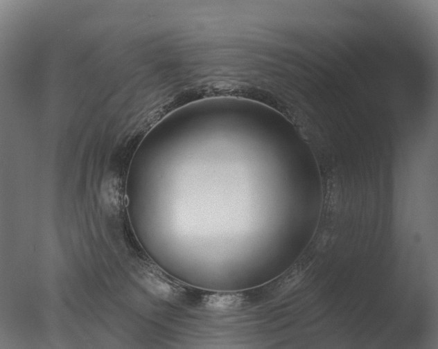 X0000076420135200610161136