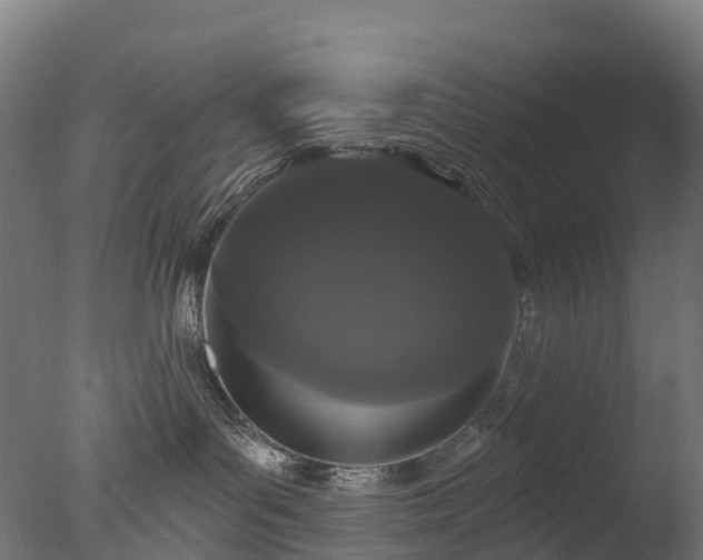 X0000076420143200610161136