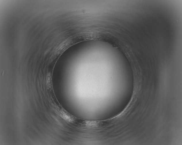 X0000076420144200610161136