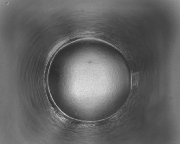X0000076420147200610161135