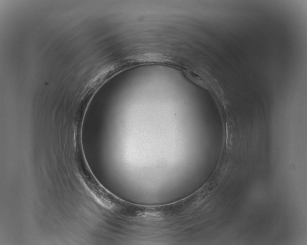 X0000076420157200610161136