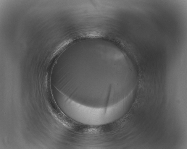 X0000076420163200610161136