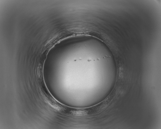 X0000076420165200610161136