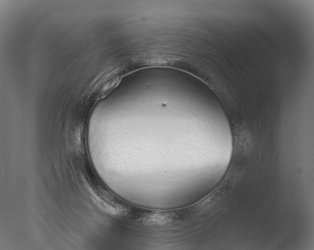 X0000076420166200610161136