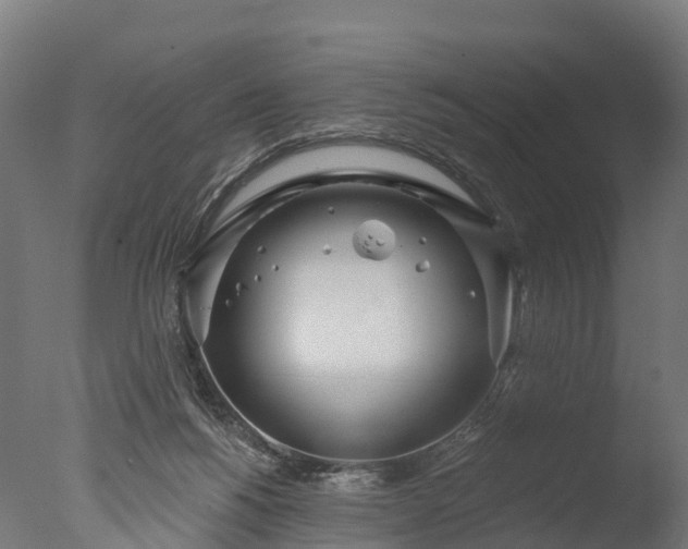 X0000076420168200610161136