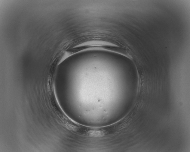 X0000076420169200610161136