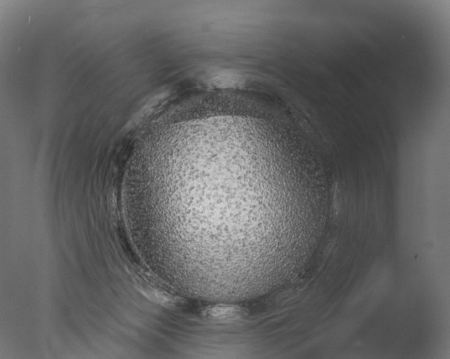 X0000076420173200610161136