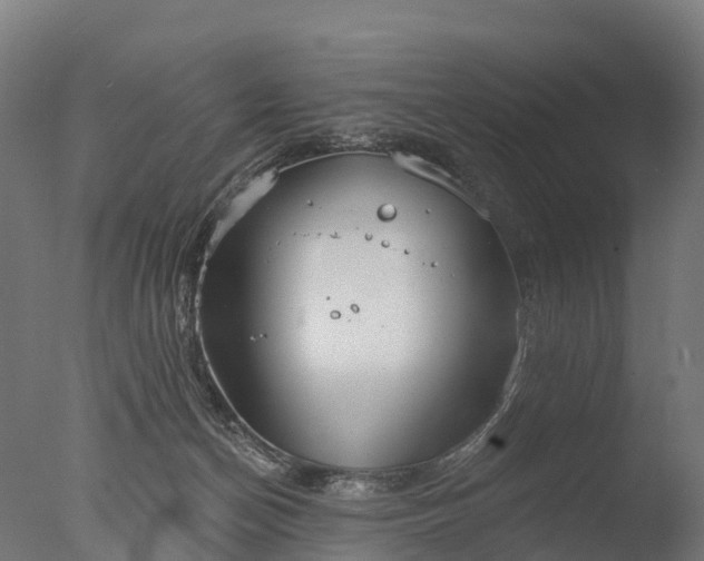 X0000076420174200610161136