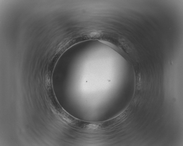 X0000076420176200610161136
