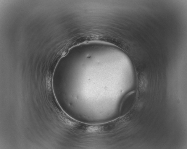X0000076420177200610161136
