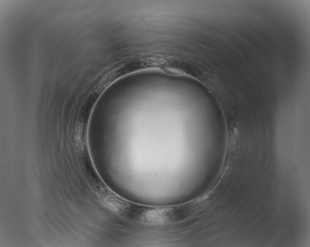 X0000076420178200610161136