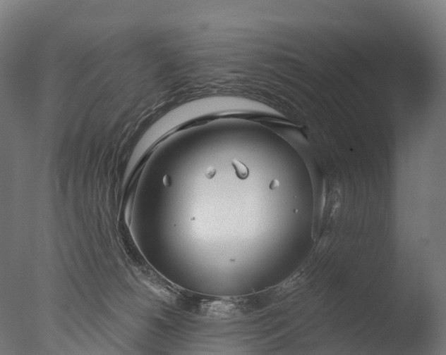 X0000076420180200610161136
