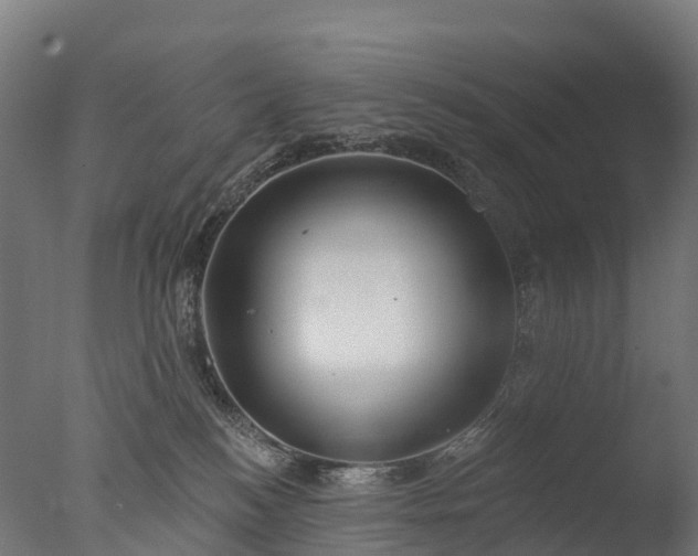 X0000076420184200610161136