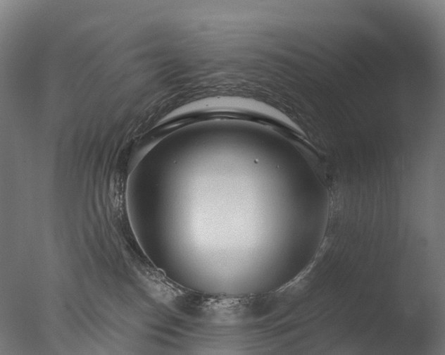 X0000076420186200610161136