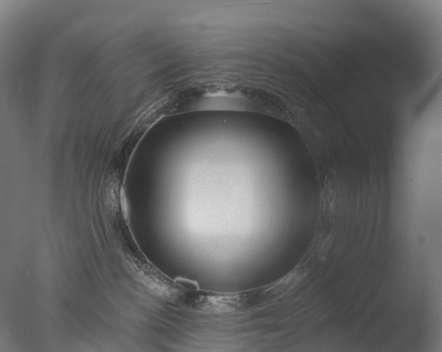 X0000076420188200610161136