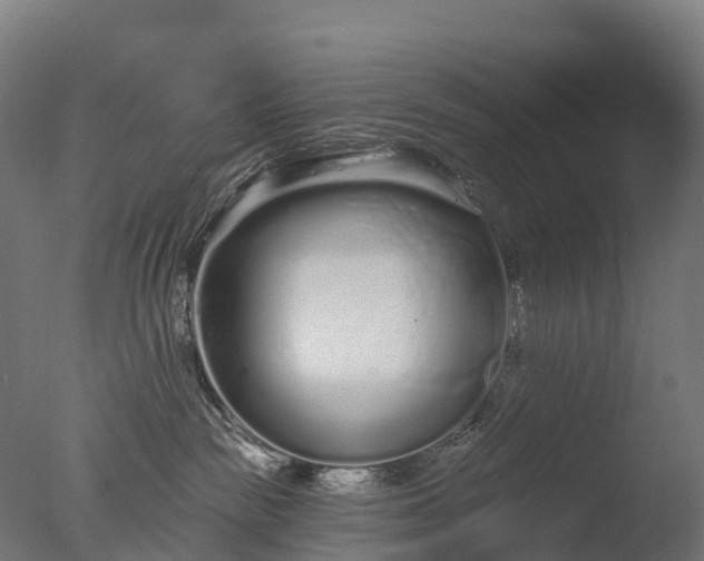 X0000076420189200610161136