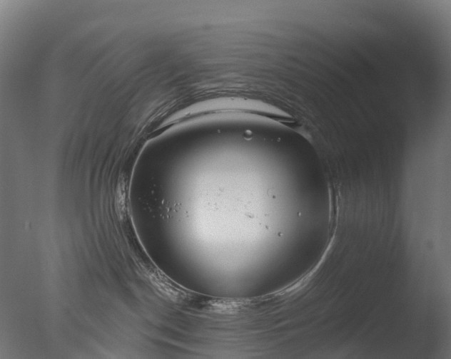 X0000076420190200610161136