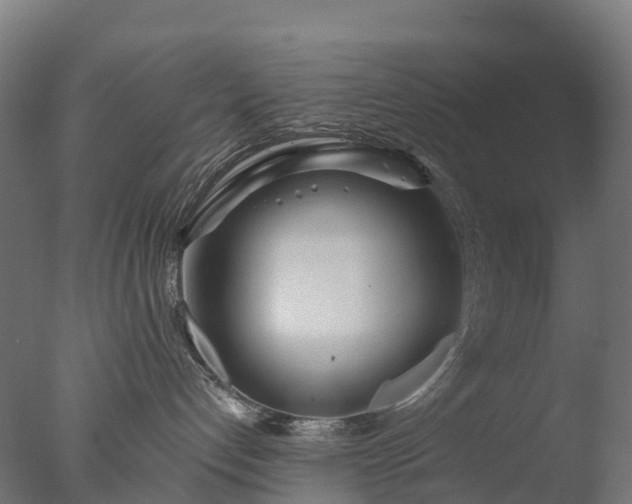 X0000076420192200610161136