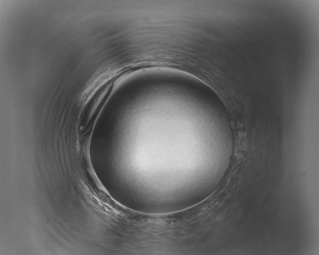 X0000076420194200610161135