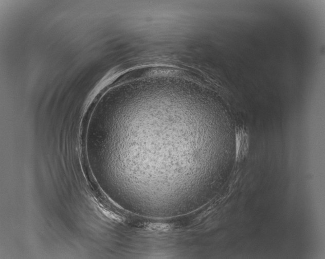 X0000076420195200610161135