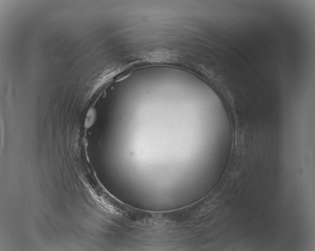 X0000076420201200610161135