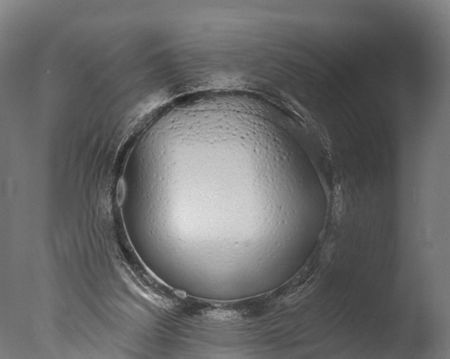 X0000076420203200610161135