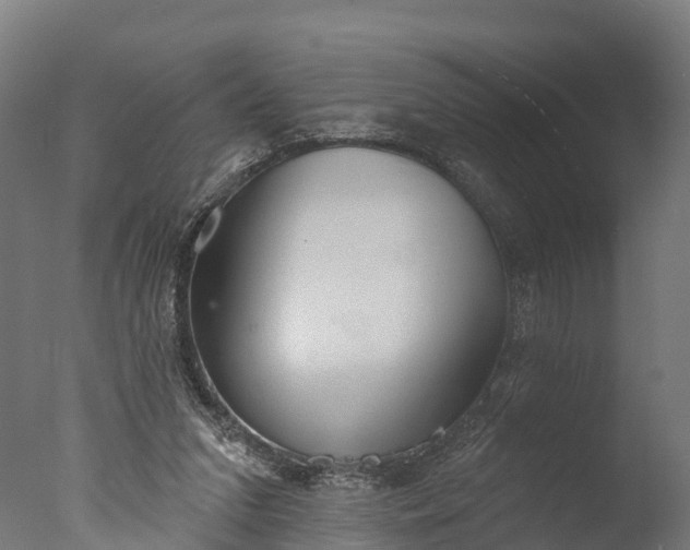 X0000076420207200610161135