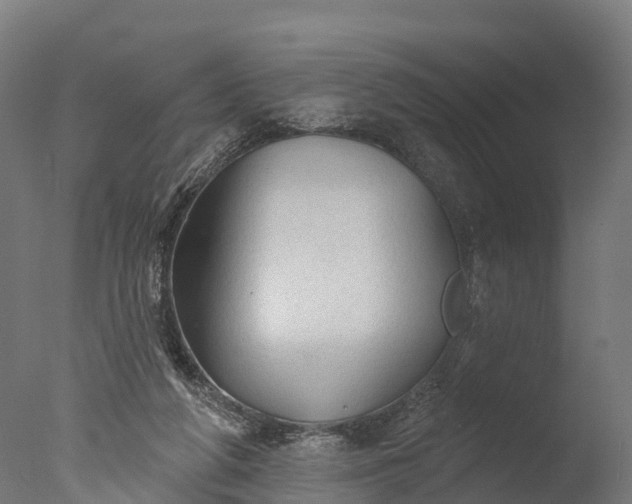 X0000076420210200610161135